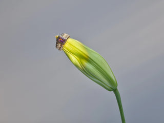 Morphose02 Amethyst Ring in Rose Gold