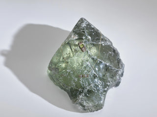 Morphose02 Peridot Pendant Necklace